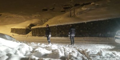 Hakkari’de sokak köpeklerini toplama çalışması