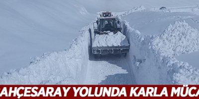 Van-Bahçesaray yolunda karla mücadele