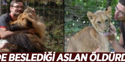 Evde beslediği aslan öldürdü