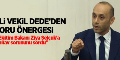 HDP'li Vekil Dede'den soru önergisi