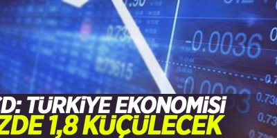 OECD: Türkiye ekonomisi yüzde 1,8 küçülecek