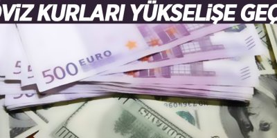 Döviz kurları yükselişe geçti