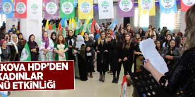 Yüksekova HDP'den Kadınlar günü etkinliği