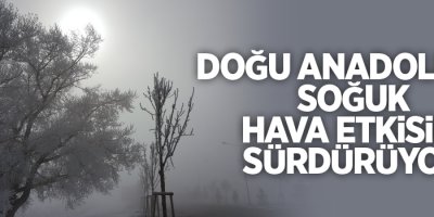 Doğu Anadolu'da soğuk hava
