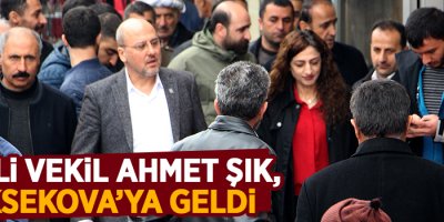 HDP'li vekil Ahmet Şık, Yüksekova'ya geldi