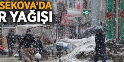 Yüksekova'da kar yağışı