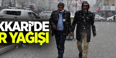 Hakkari’de lapa lapa kar yağışı