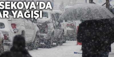 Yüksekova'da Kar yağışı