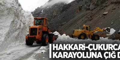 Hakkari-Çukurca karayoluna çığ düştü