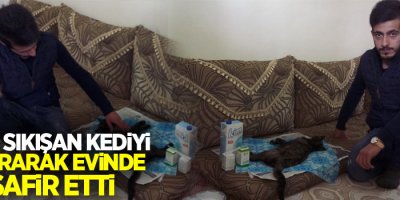 Çatıda sıkışan kediyi kurtararak evinde misafir etti