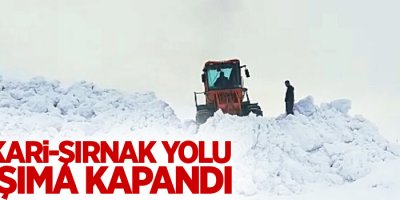 Hakkari-Şırnak yolu ulaşıma kapandı