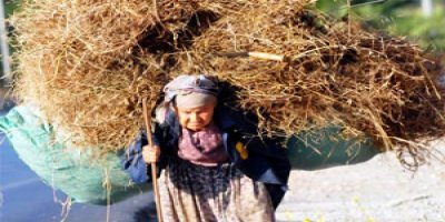 Alime Nine'nin çilesi!