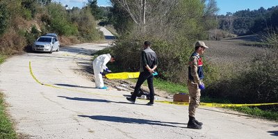 Döverek öldürüp yol kenarına attılar