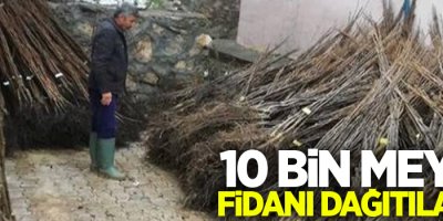 10 bin meyve fidanı dağıtılacak