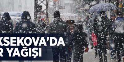 Yüksekova'da Mart ayında kar sürprizi