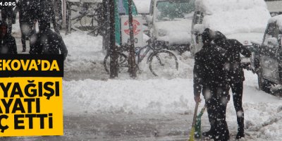 Yüksekova'da kar yağışı hayatı olumsuz yönden etkiledi
