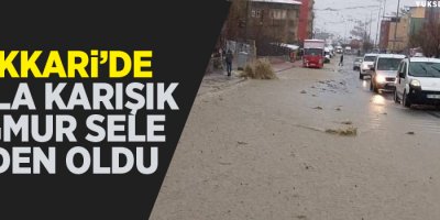 Hakkari'de karla karışık yağmur sele neden oldu
