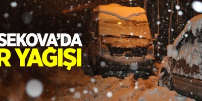 Yüksekova’da kar yağışı