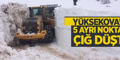 Yüksekova’da 5 ayrı noktaya çığ düştü