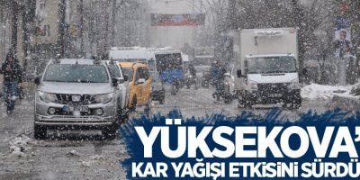Yüksekova’da kar yağışı