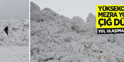 Yüksekova’da mezra yoluna çığ düştü, yol ulaşıma kapandı
