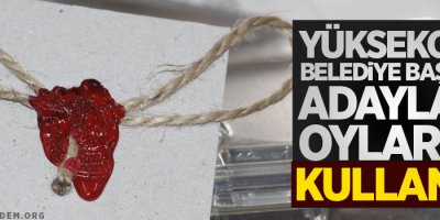 Yüksekova Belediye Başkan adayları oylarını kullandı