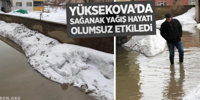 Yüksekova'da sağanak yağış hayatı olumsuz etkiledi