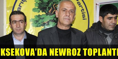 Yüksekova'da 'Newroz' toplantısı