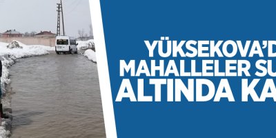 Kar suları eridi, mahalleler sular altında kaldı