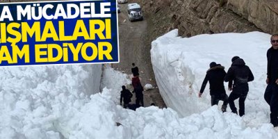 Kar kalınlığının 8 metreyi bulduğu yolda karla mücadele çalışması