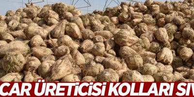 Pancar üreticisi kolları sıvadı