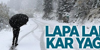 Lapa lapa kar yağdı