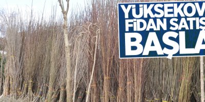 Yüksekova’da fidan satışları başladı