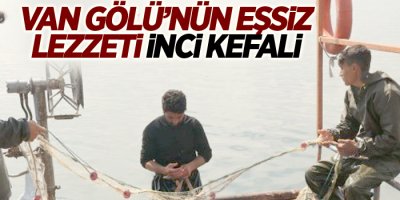Van Gölü’nün eşsiz lezzeti inci kefali