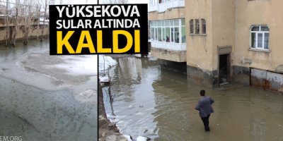 Yüksekova sular altında kaldı