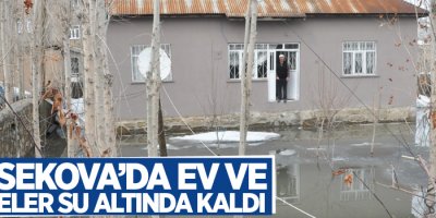 Yüksekova’da ev ve bahçeler su altında kaldı