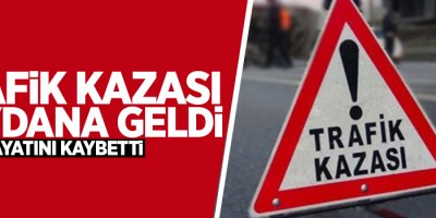 İranlıları taşıyan otobüs devrildi: 3 ölü, 25 yaralı