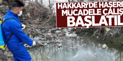 Hakkari'de haşerelerle mücadele çalışması başlatıldı