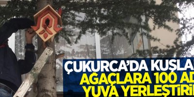 Çukurca’da kuşlar için ağaçlara 100 adet yuva yerleştirildi