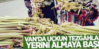 Van'da Uçkun tezgâhlardaki yerini almaya başladı
