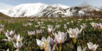 Karların erimesiyle ortaya çıktılar! Eşsiz manzara...