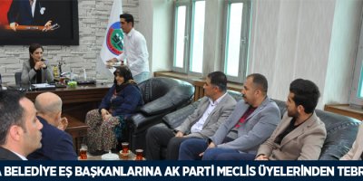 Eş Başkanlarına AK Parti Meclis üyelerinden tebrik ziyareti