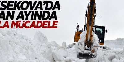 Karla mücadele çalışması baharda da devam ediyor