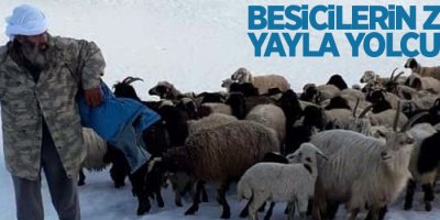 Besicilerin zorlu yayla yolculuğu