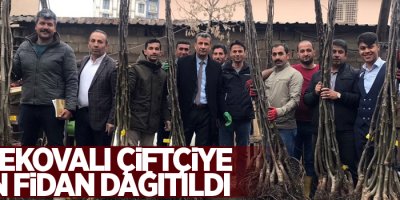 Yüksekovalı çiftçiye 10 bin fidan dağıtıldı