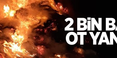 2 bin bağ ot yandı