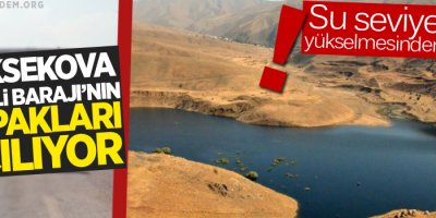 Yüksekova Dilimli Barajının kapakları açılıyor!