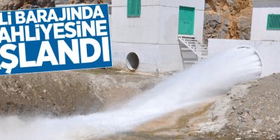 Yüksekova Dilimli Barajının kapakları açıldı