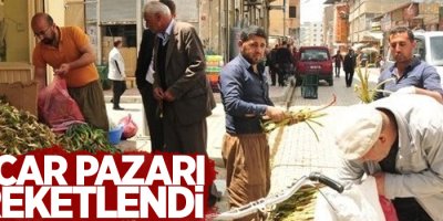 Pancar Pazarı hareketlendi