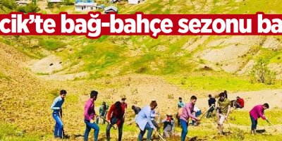 Derecik’te bağ-bahçe sezonu başladı